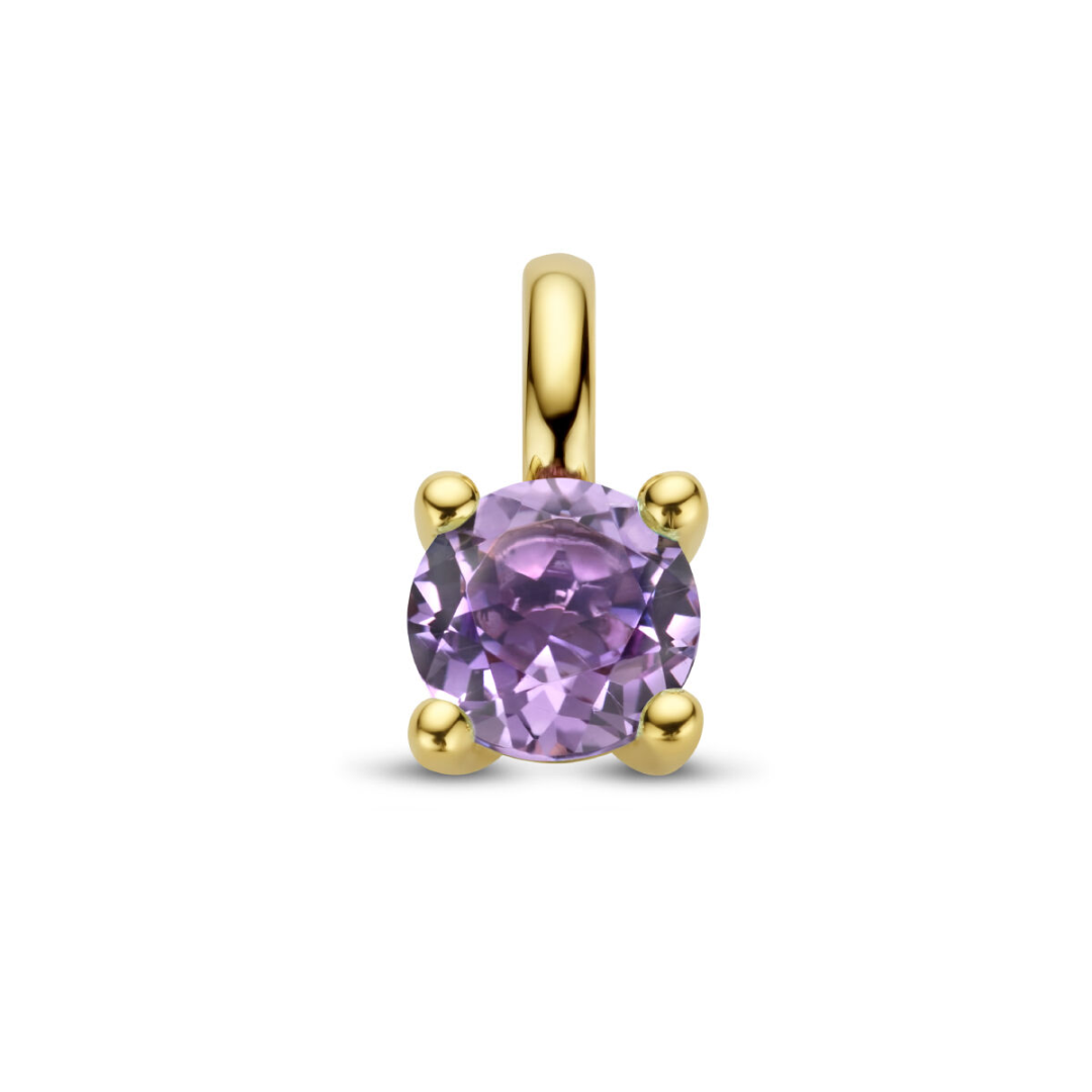 Basis | 14k Geelgouden hanger uitgevoerd met schitterend amethist