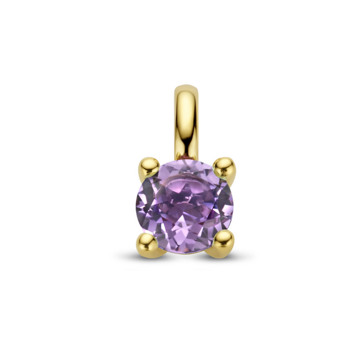 Basis | 14k Geelgouden hanger uitgevoerd met schitterend amethist