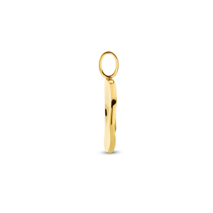 Basis | 14k Geelgouden ronde hanger met een diameter van 12mm