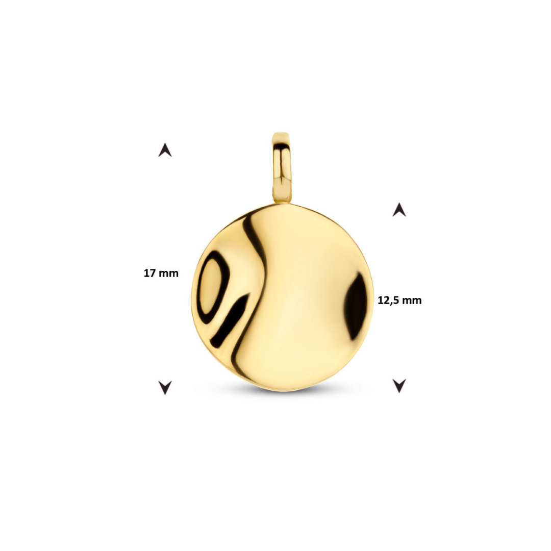 Basis | 14k Geelgouden ronde hanger met een diameter van 12mm
