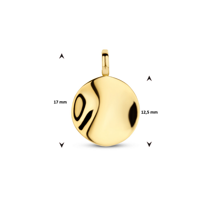 Basis | 14k Geelgouden ronde hanger met een diameter van 12mm