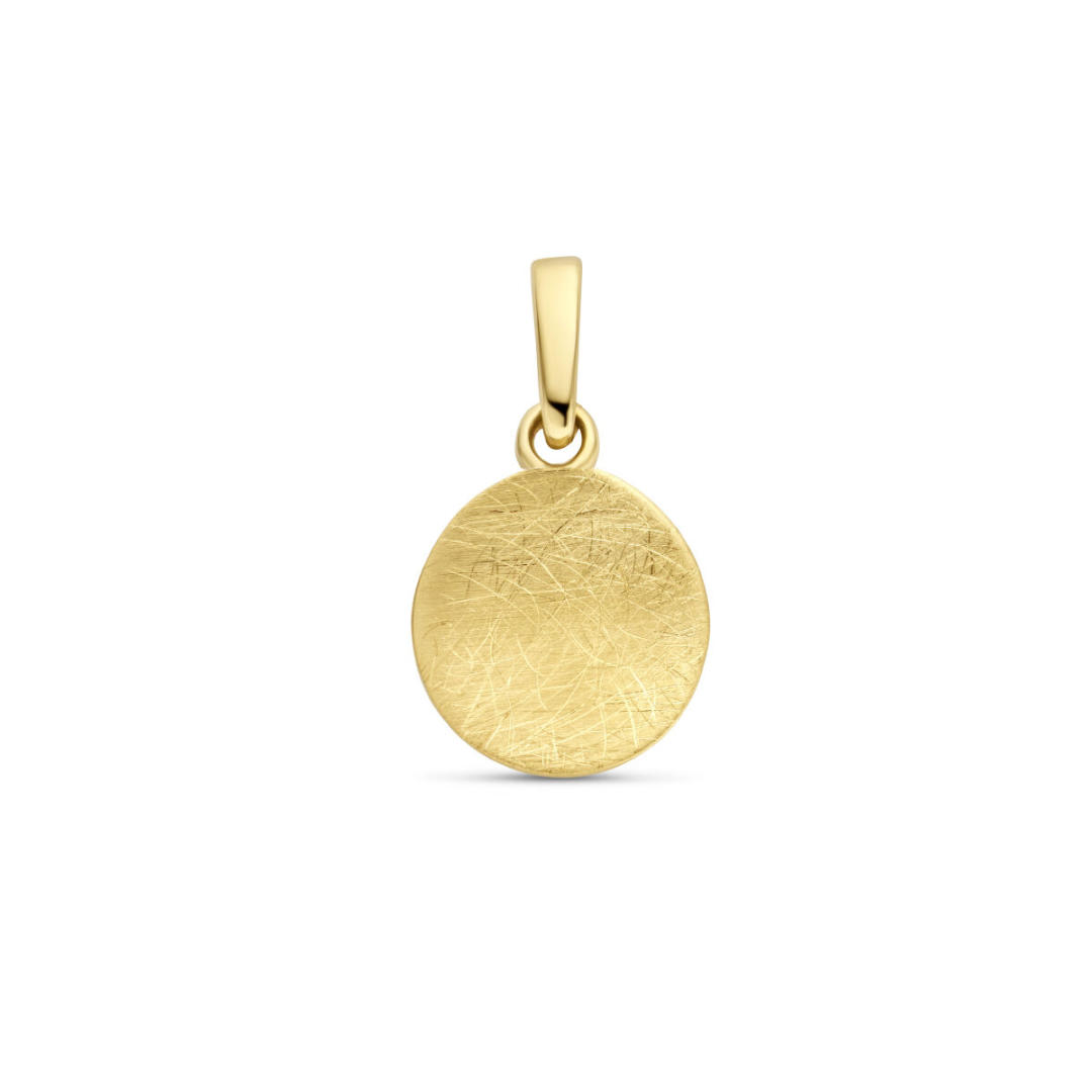 Basis | 14k Geelgouden ronde hanger met een diameter van 8mm