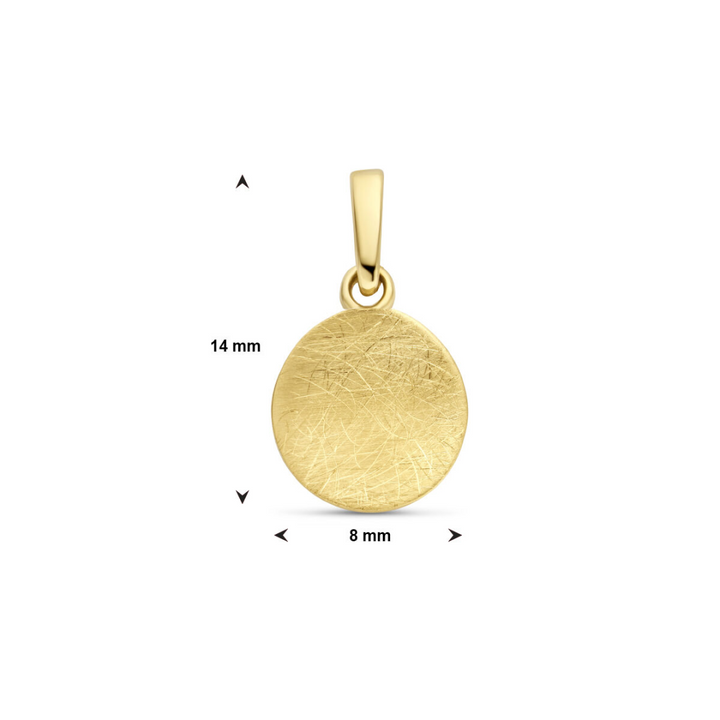 Basis | 14k Geelgouden ronde hanger met een diameter van 8mm