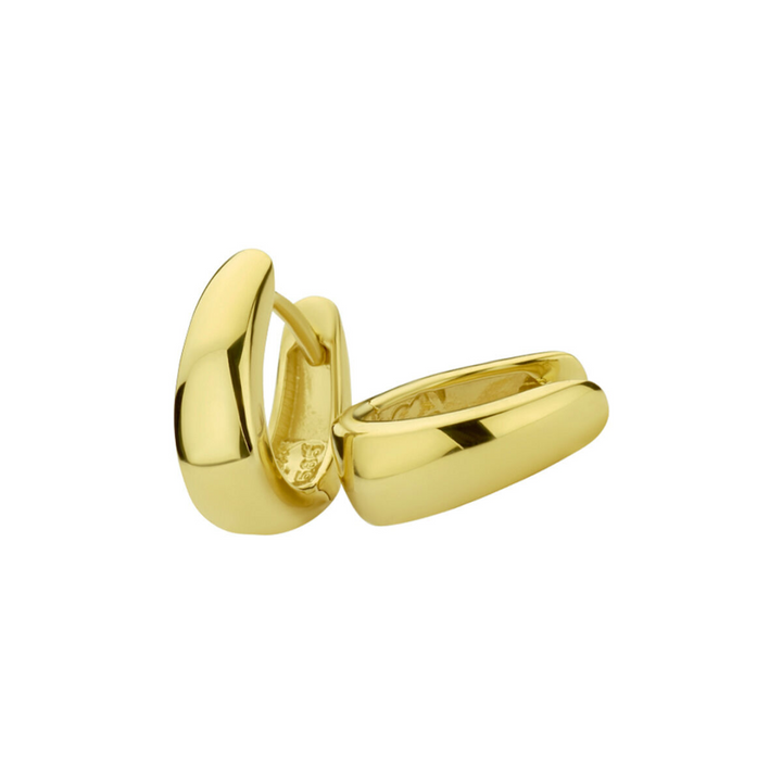 Basis | Geelgouden klapoorringen met een afmeting van 12x4mm