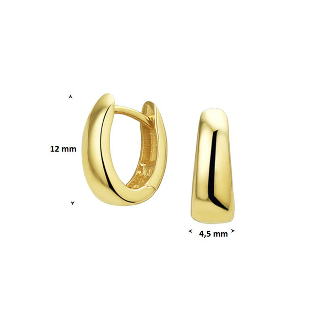 Basis | Geelgouden klapoorringen met een afmeting van 12x4mm