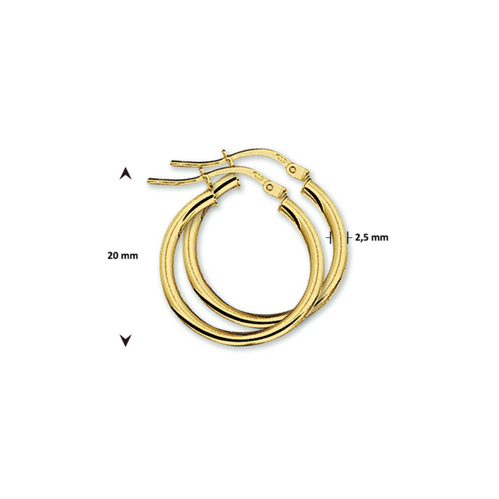 Basis | Geelgouden oorringen met een ronde buis en een hefboom-sluiting