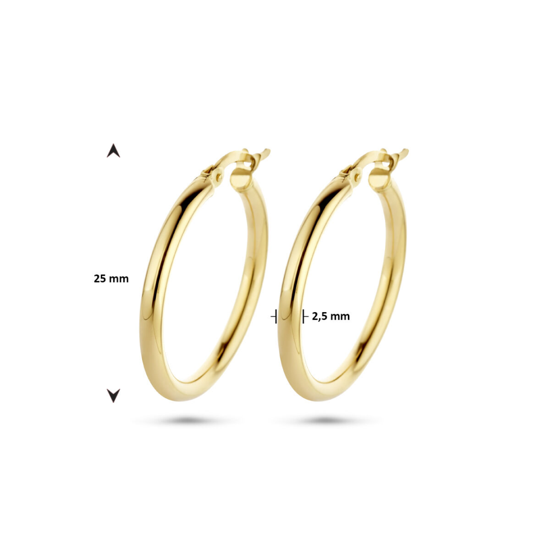 Basis | Geelgouden oorringen met een ronde buis en een hefboom-sluiting