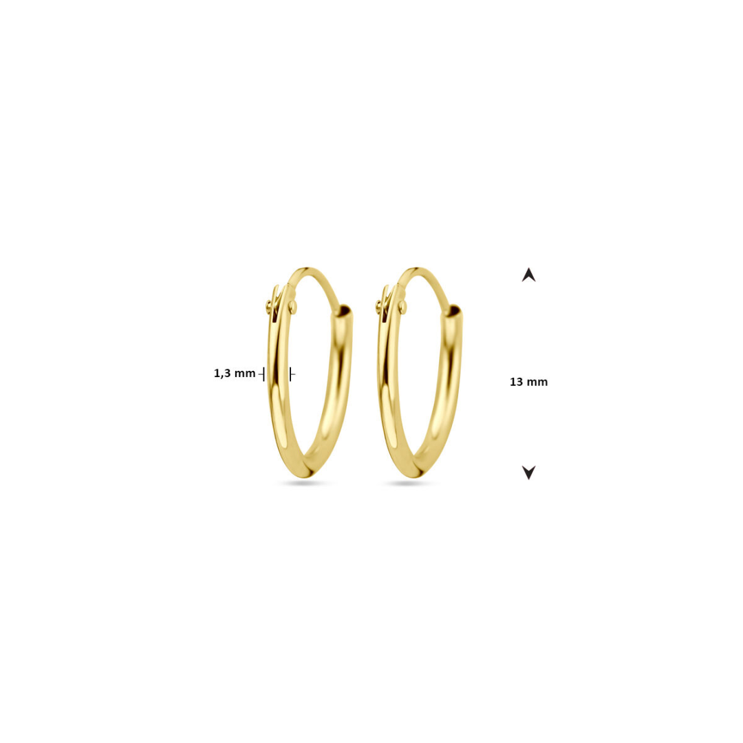 Basis | Geelgouden oorringen met een ronde buis en een scharnier-sluiting