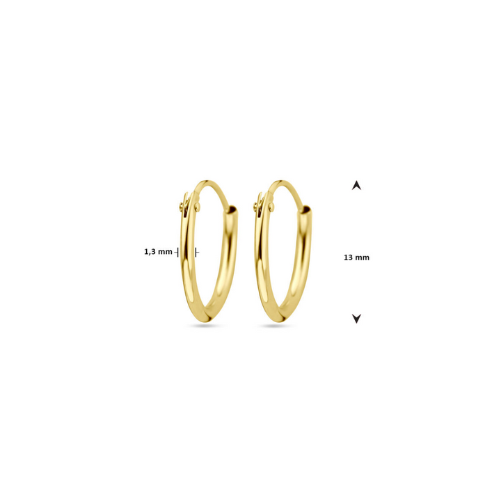 Basis | Geelgouden oorringen met een ronde buis en een scharnier-sluiting