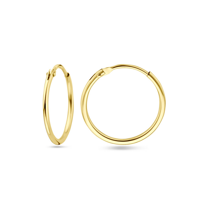 Basis | Geelgouden oorringen met een ronde buis en een scharnier-sluiting