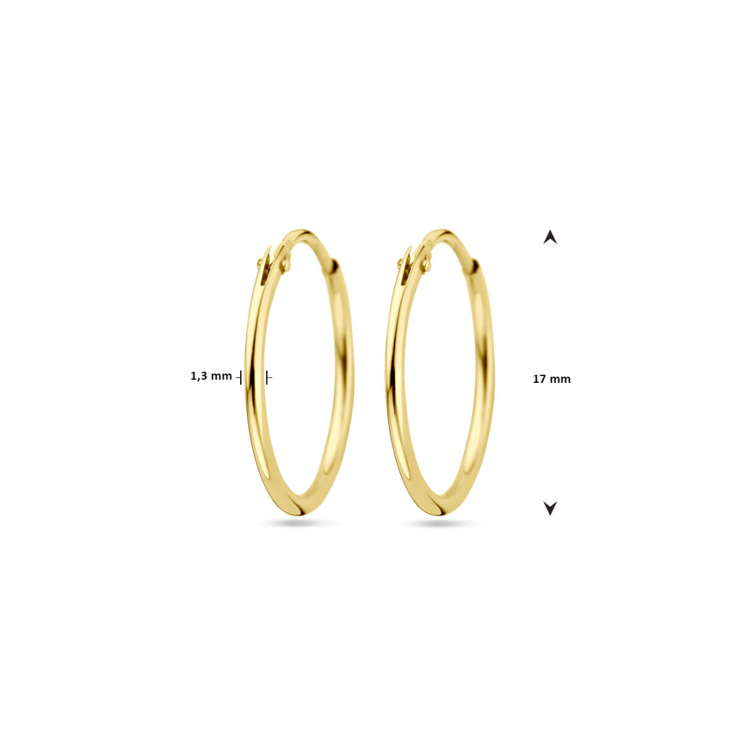 Basis | Geelgouden oorringen met een ronde buis en een scharnier-sluiting