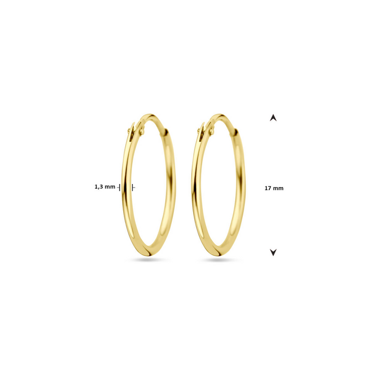 Basis | Geelgouden oorringen met een ronde buis en een scharnier-sluiting