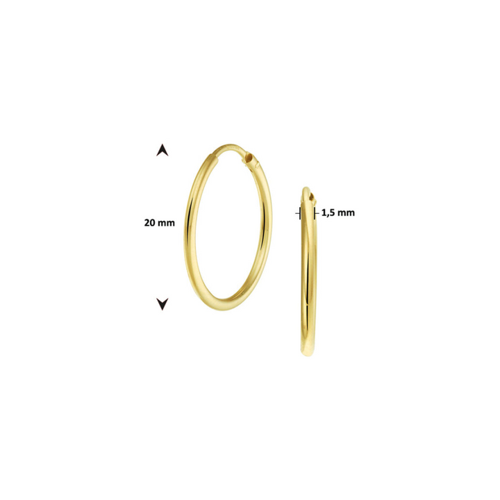 Basis | Geelgouden oorringen met een ronde buis en een scharnier-sluiting