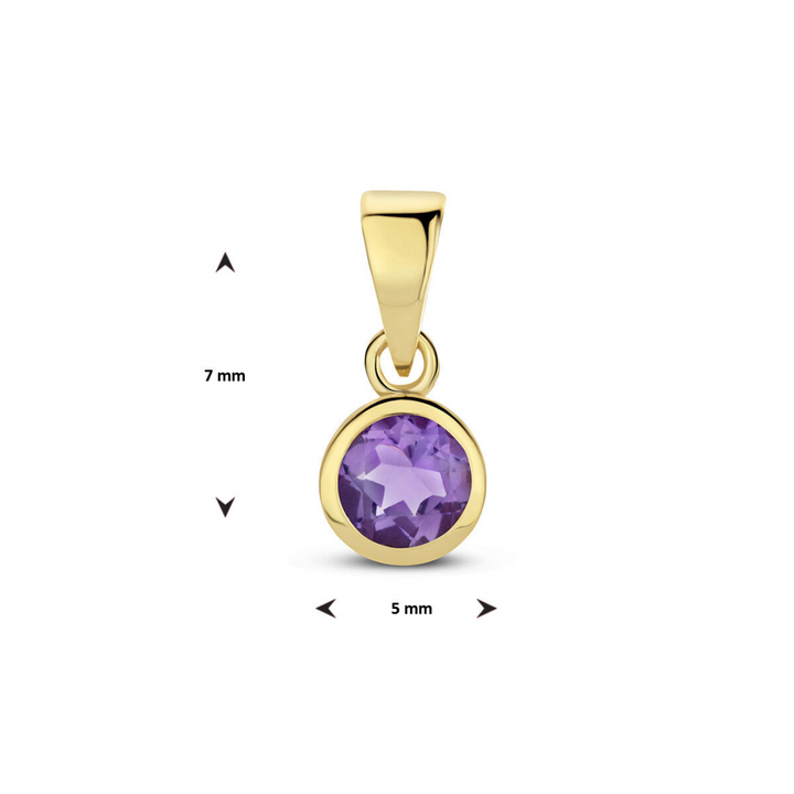 Basis | hanger met geboortesteen goud (geelgoud)