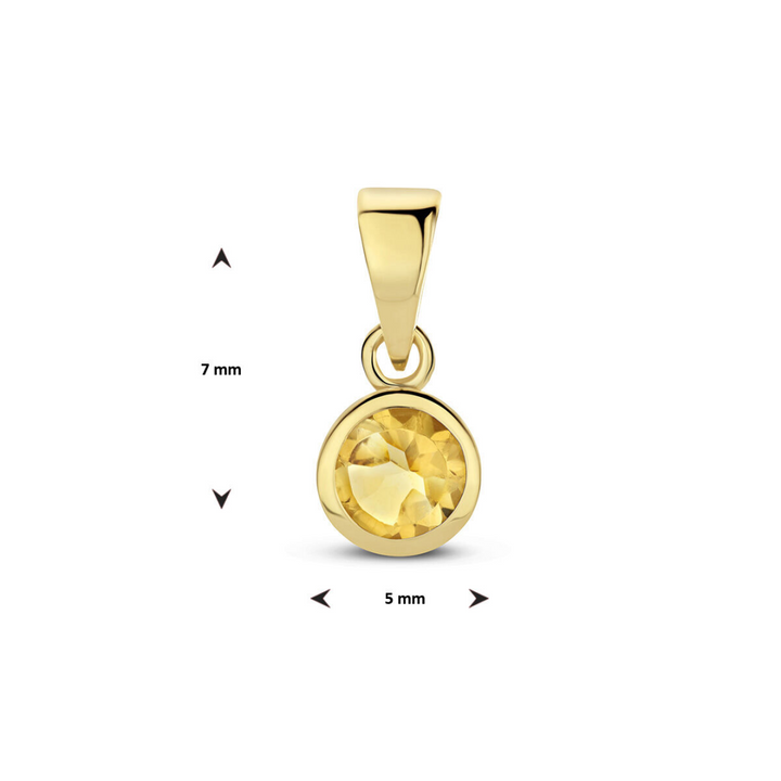 Basis | hanger met geboortesteen goud (geelgoud)