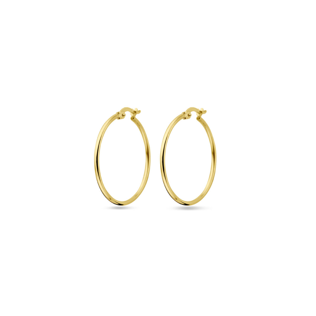 Basis | oorringen goud (geelgoud)
