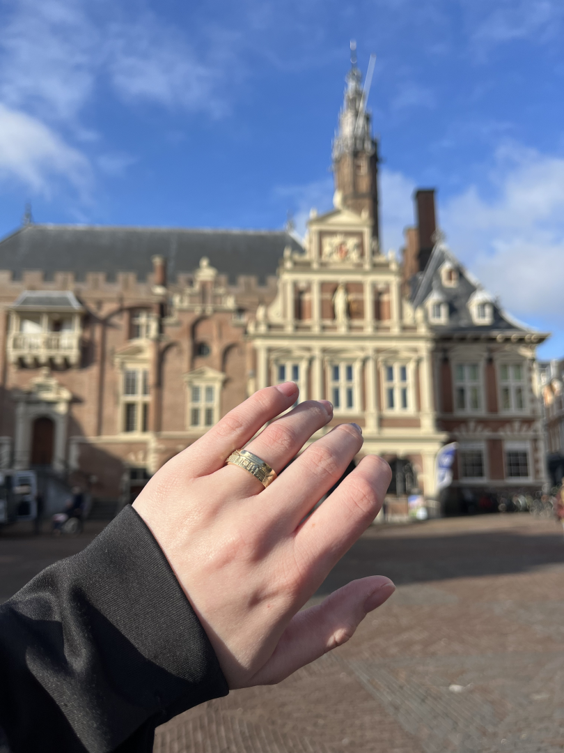 City Jewels | 14 karaat wit gouden smalle Haarlem ring met een skyline van Haarlem