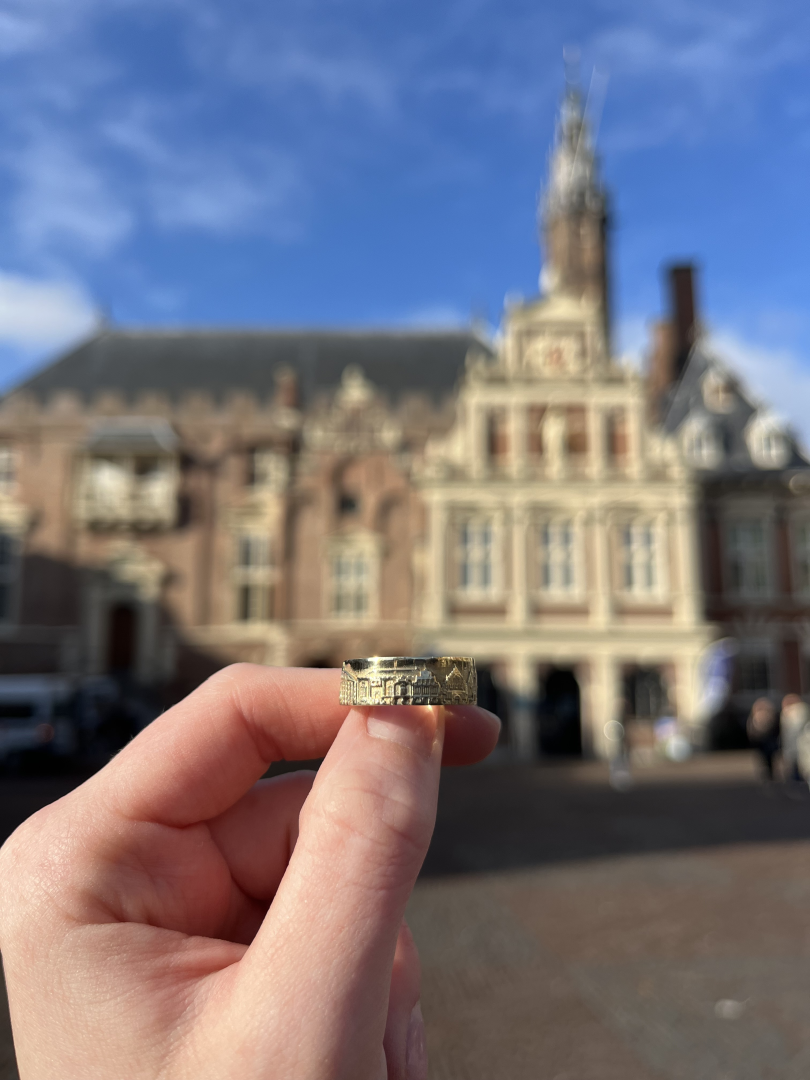 City Jewels | 14 karaat wit gouden smalle Haarlem ring met een skyline van Haarlem