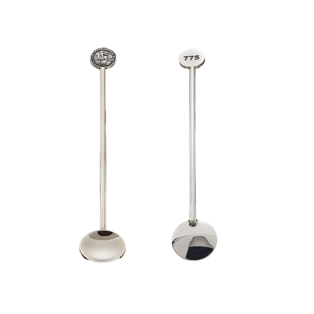 City Jewels | Limited Edition stadsrecht Haarlem zilveren koffielepel