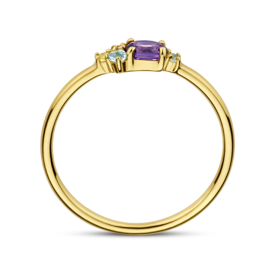 House of SIS | 14k Geelgouden ring uitgevoerd met schitterende edelstenen zoals: amethist, citrien, peridoot en topaas