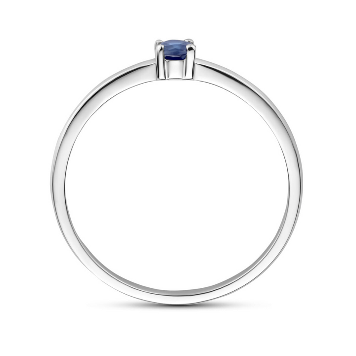 House of SIS | Zilveren ring met geboortesteen september saffier