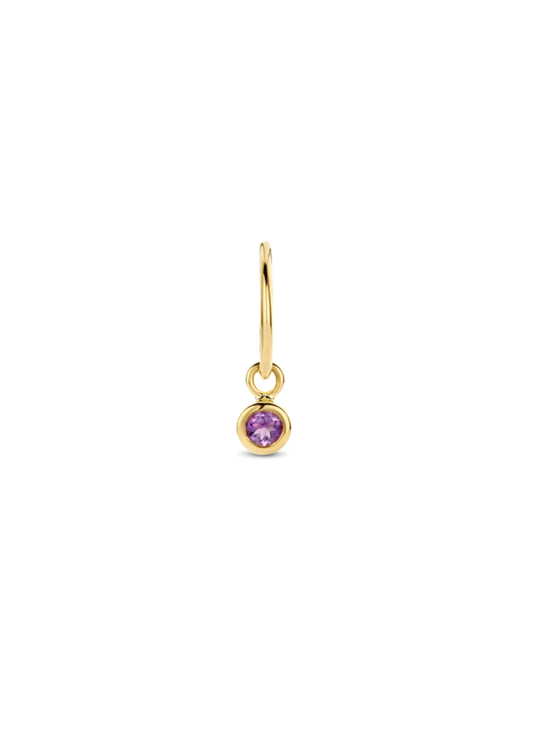 Jackie Gold | 14 karaat geelgouden Amethyst Earcharm