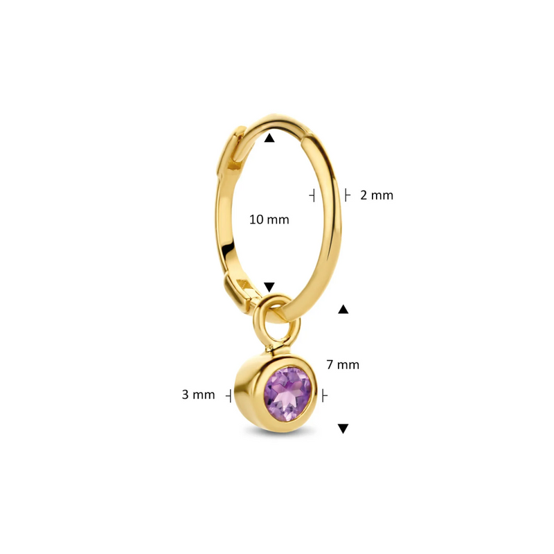 Jackie Gold | 14 karaat geelgouden Amethyst Earcharm