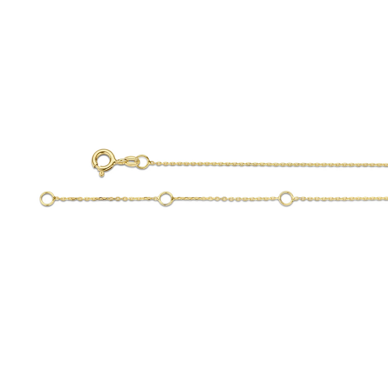 Jackie Gold | 14 karaat geelgouden anker collier met rechthoekige amethist | Medina Amethyst