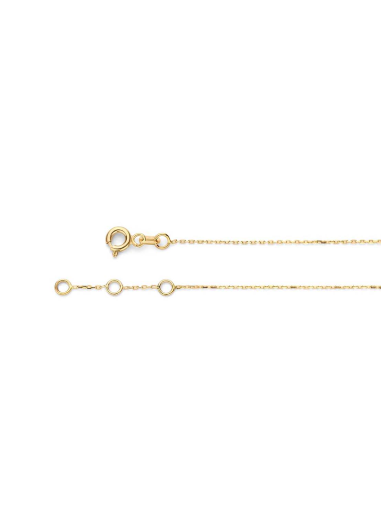 Jackie Gold | 14 karaat geelgouden collier | Fez Disc