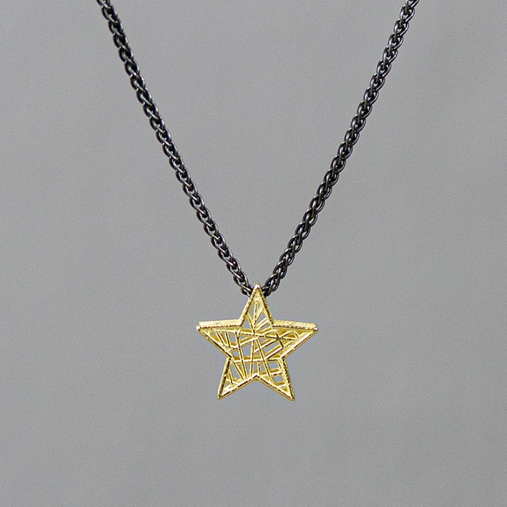 Jeh Jewels | Collier zilver oxy + 3D hanger G14K ster